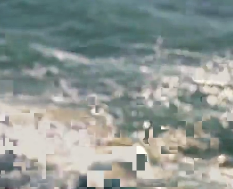 if the sea could talk.png