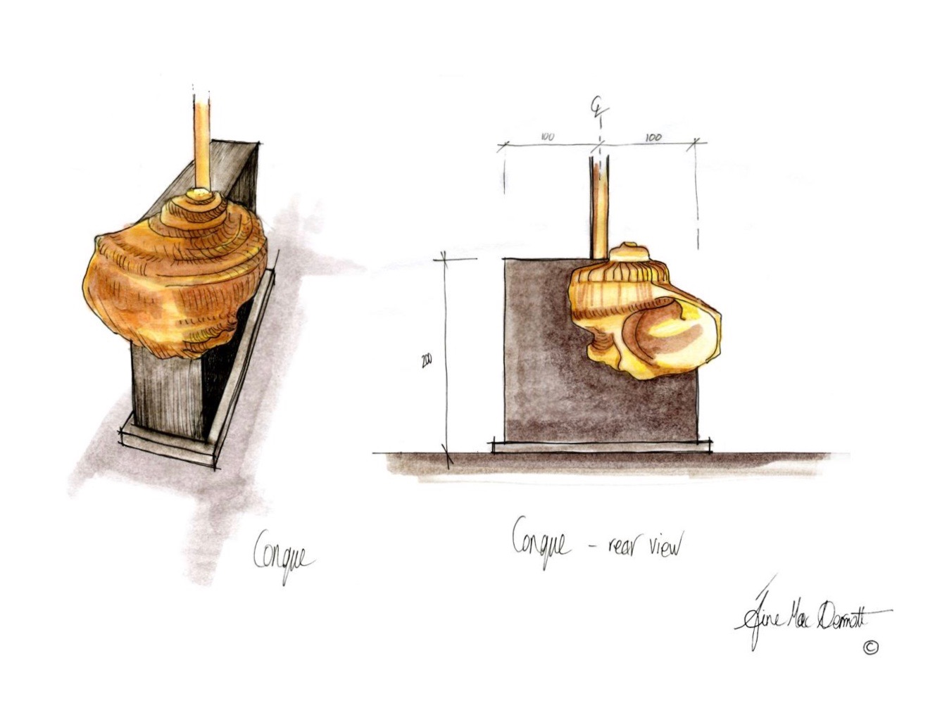 aine-mac-conque-shell-lamp-base-design-sketch.jpg