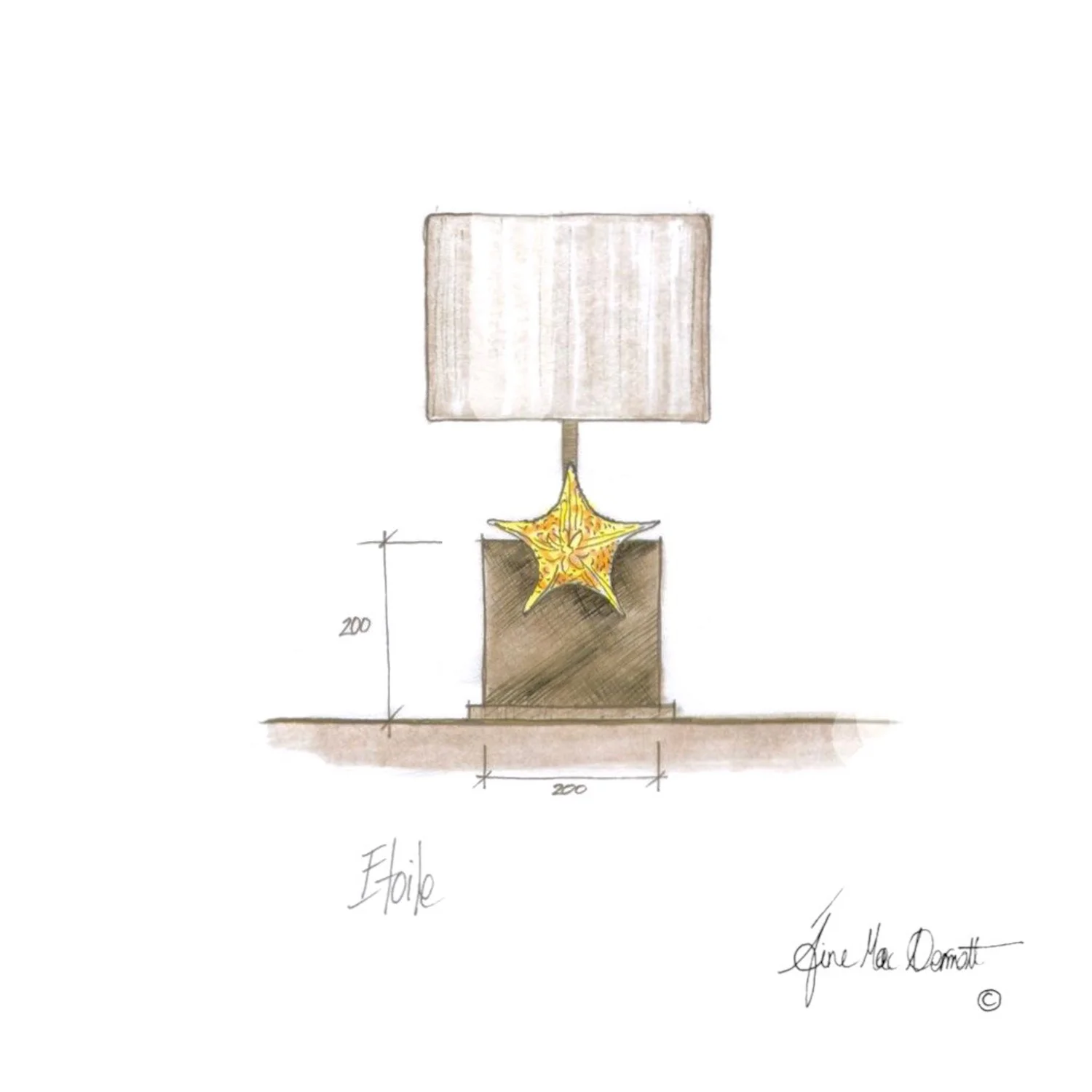 aine-mcdermott-design-charles-paris-etoile-shell-table-lamp.jpg