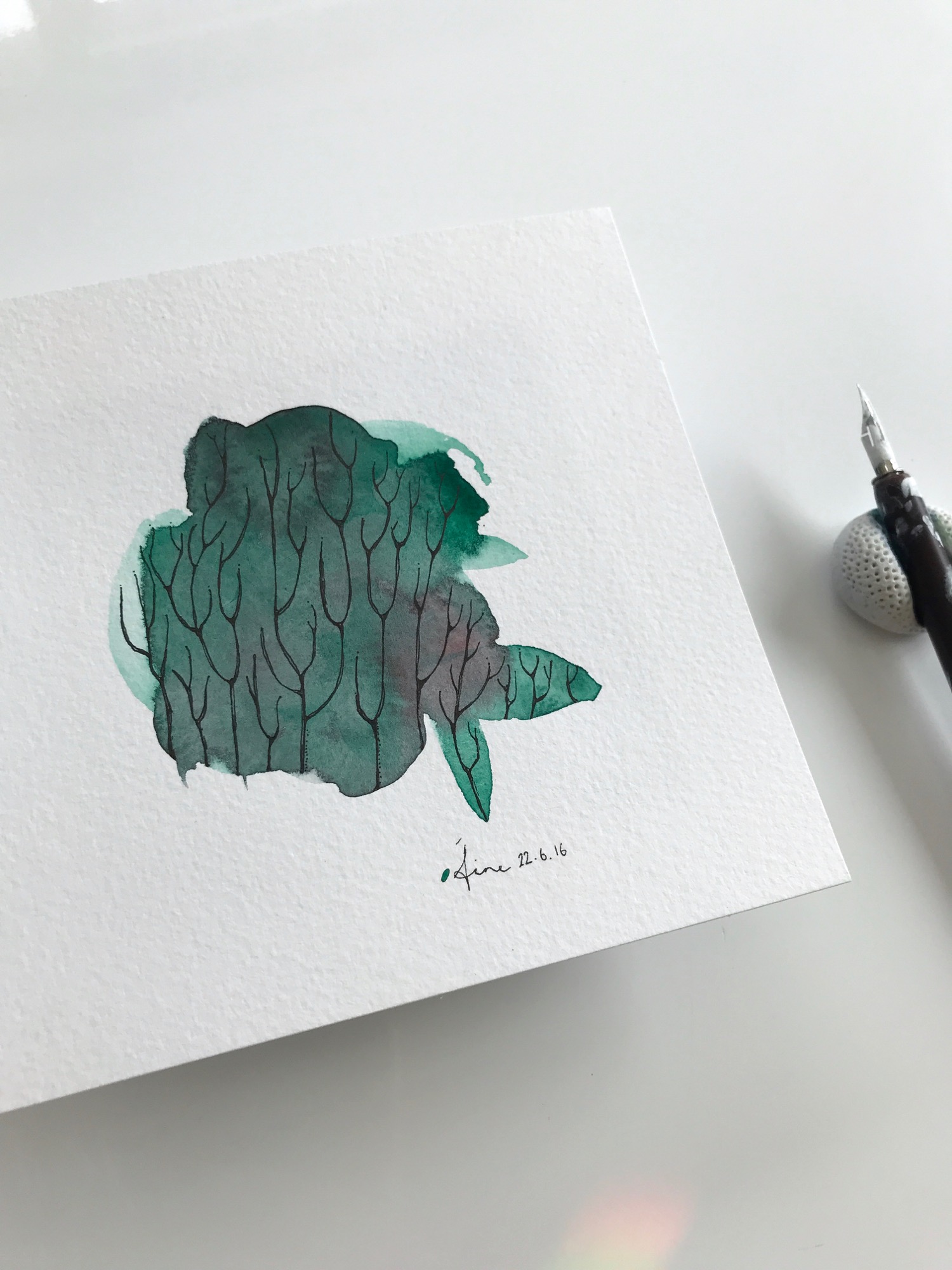 Seaweed (5).jpg