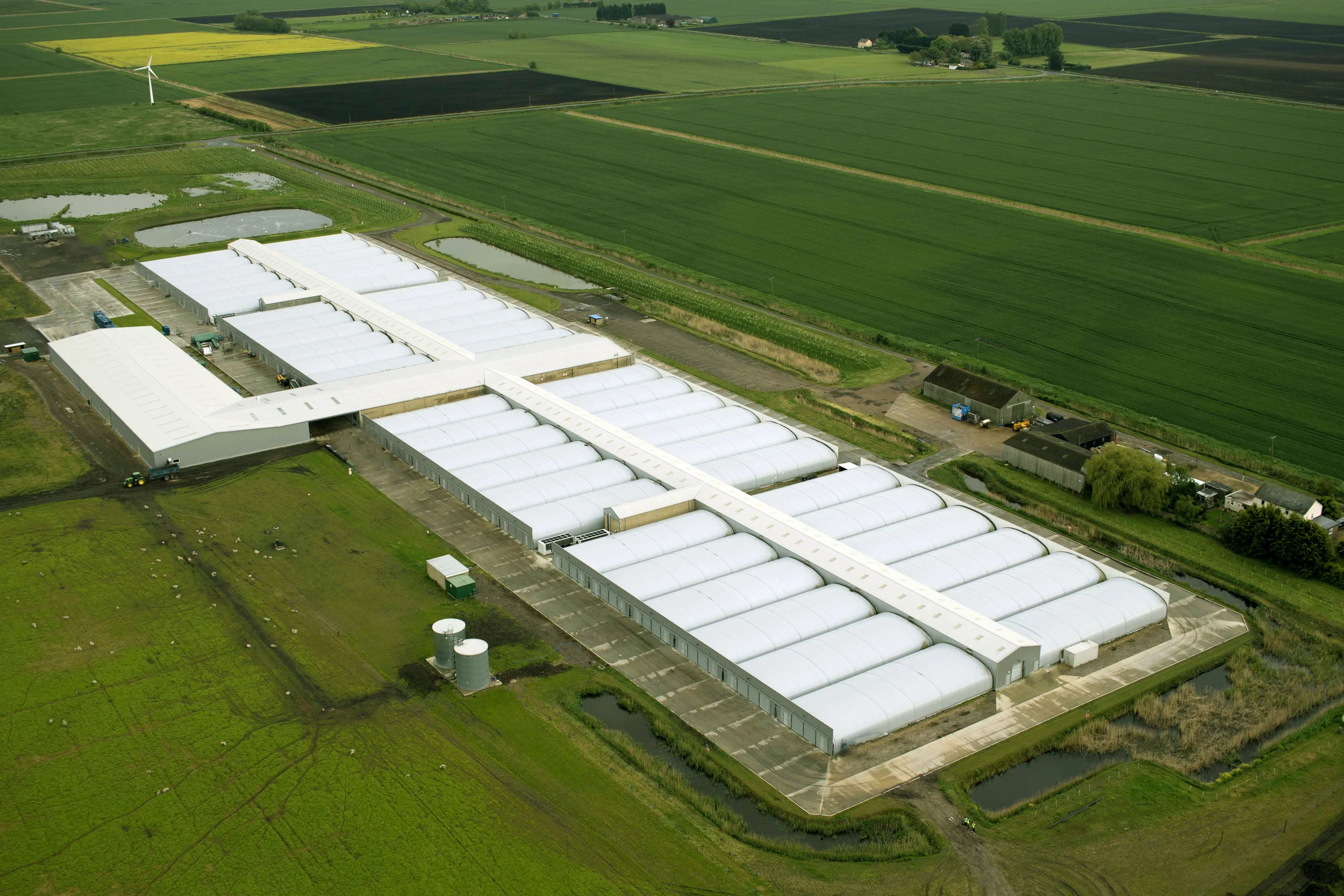 mushroom growing rooms, mushroom tunnel, mushroom hooped structures, mushroom growing tunnel