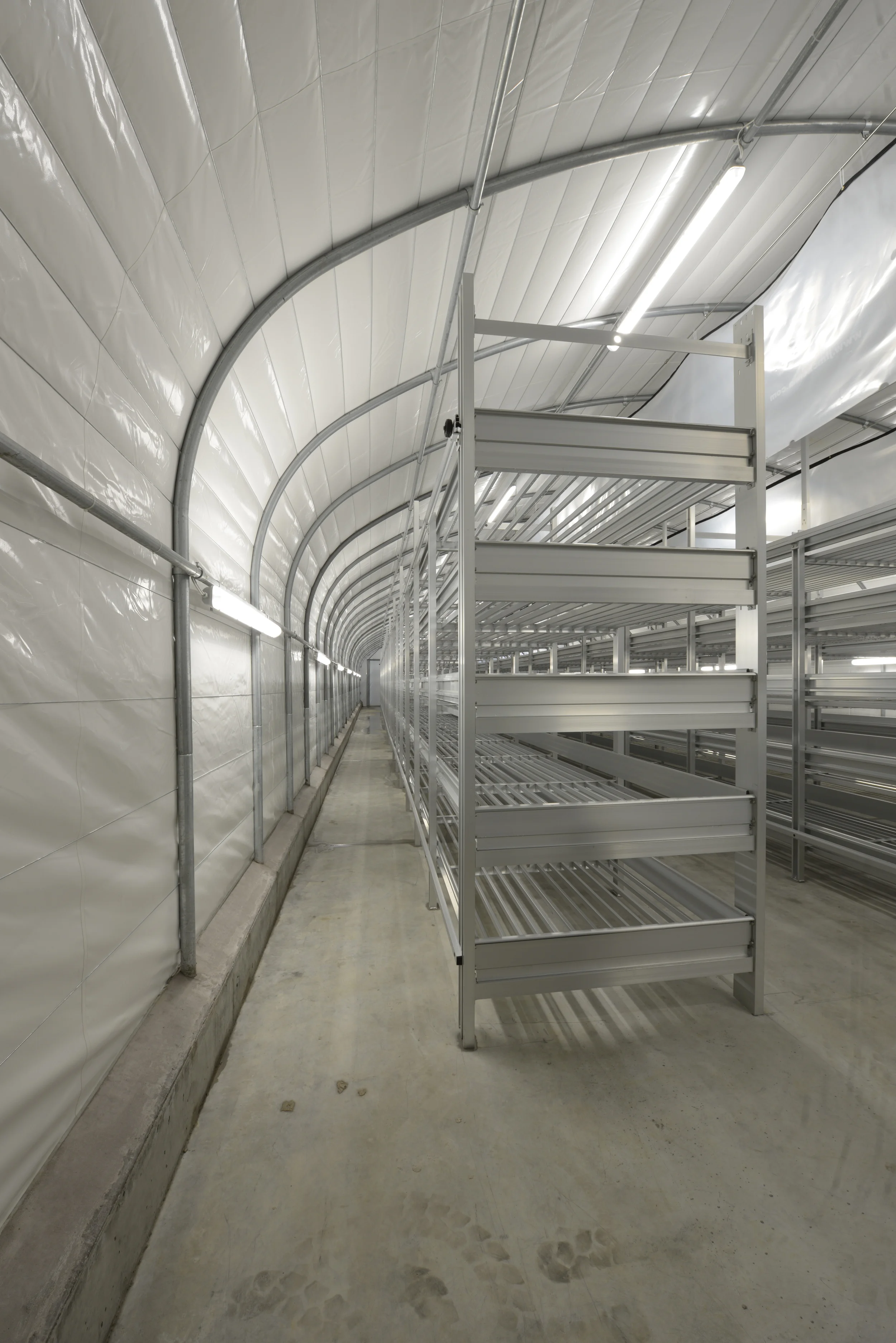 Mushroom Equipment from JF MckennaMushroom Equipment from JF