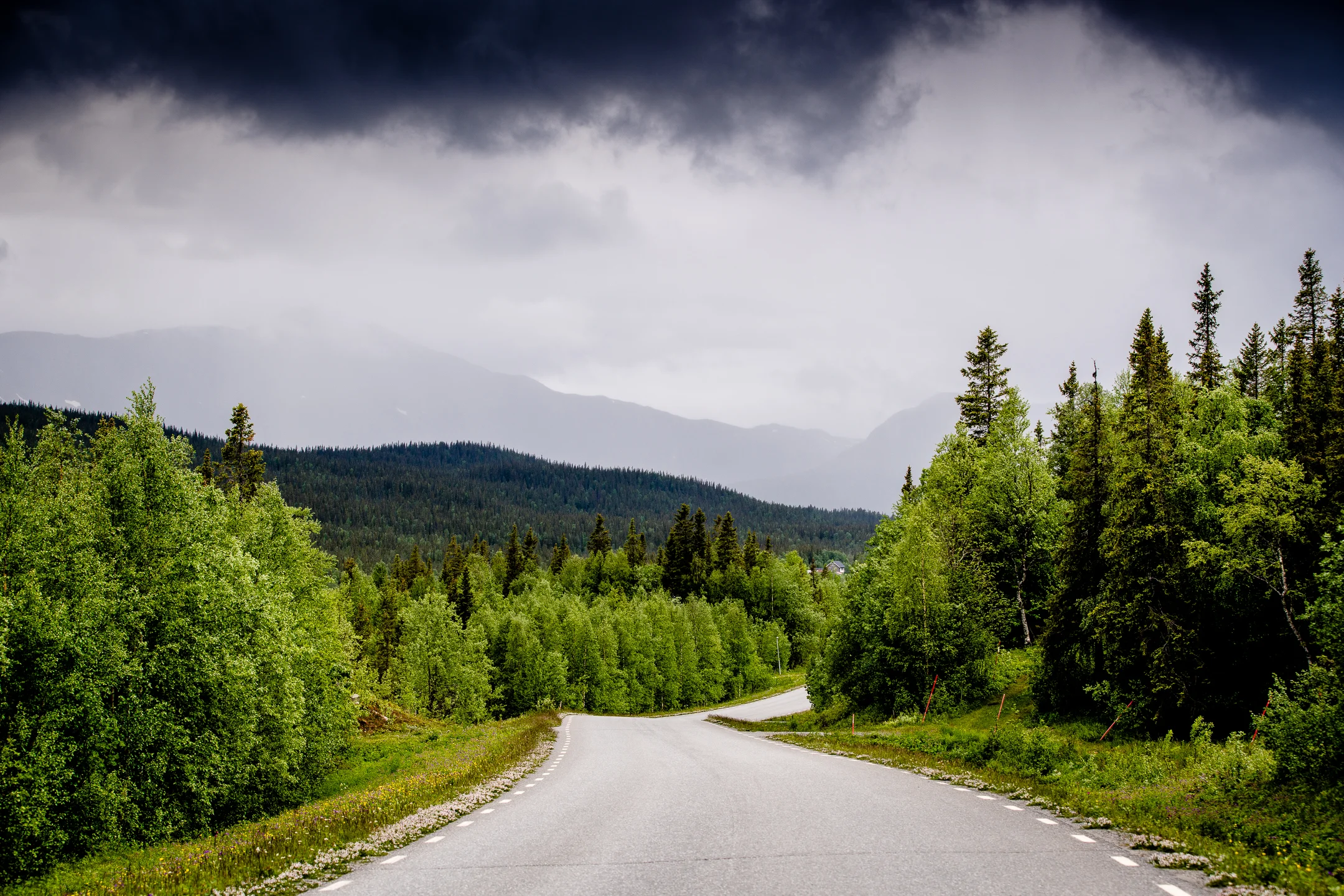 Kittelfjall_Juni17_73_2160px_CJUTSI.jpg