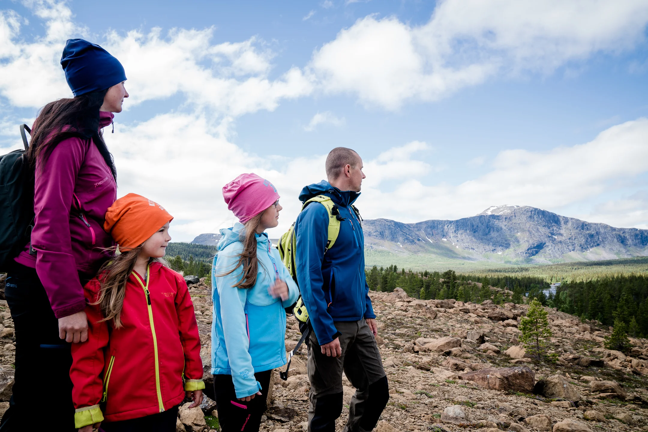 Kittelfjall_Juni17_580_2160px_CJUTSI.jpg