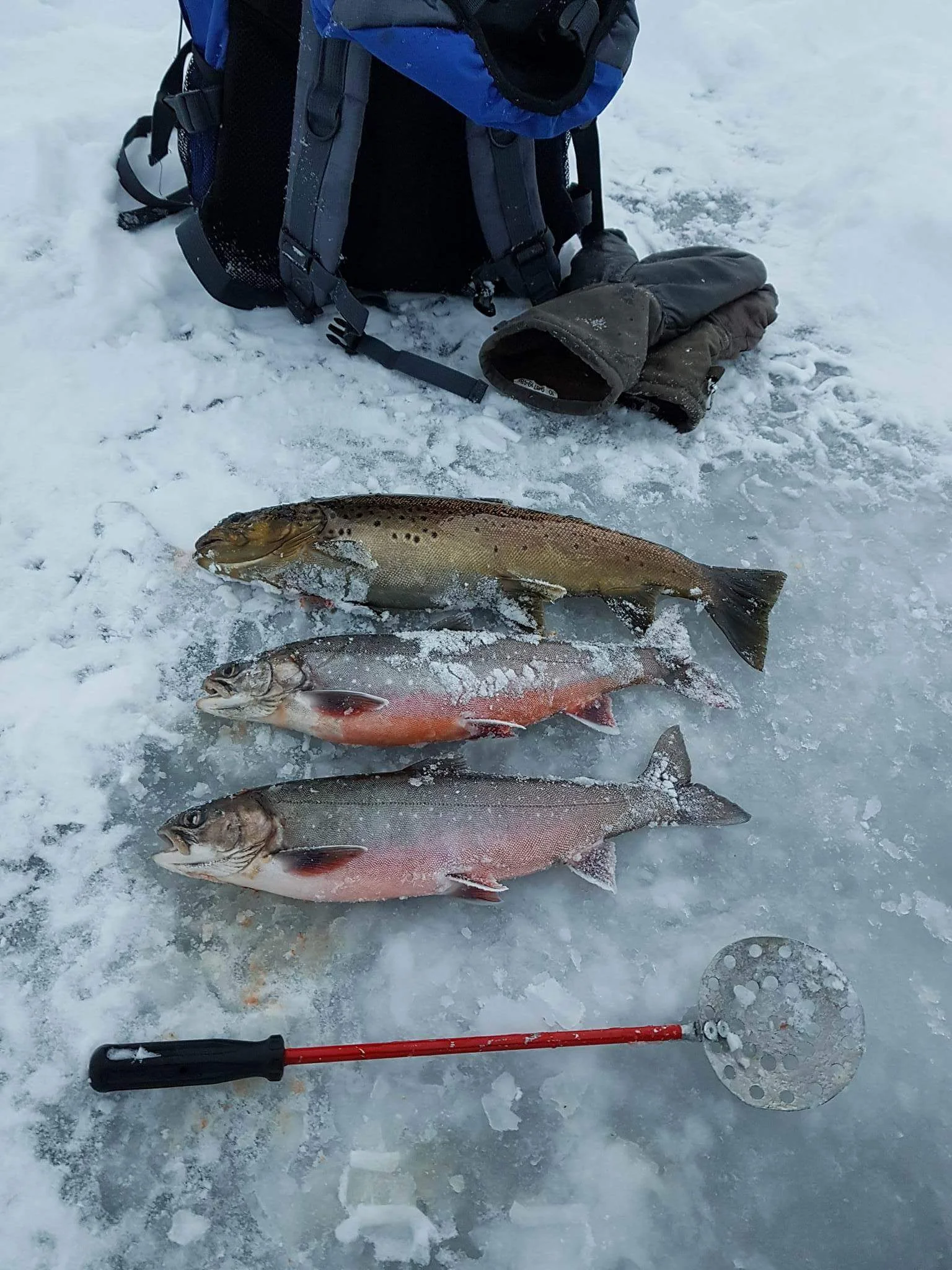 Fishing - Winter .jpeg