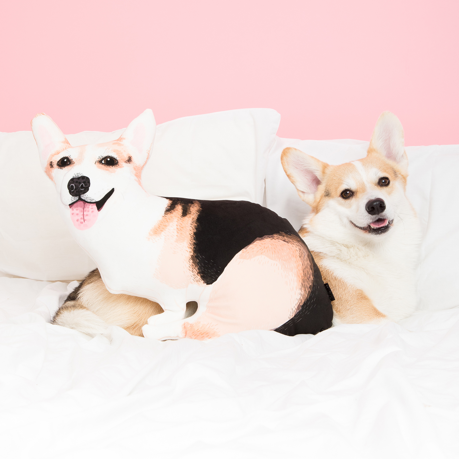 corgi portrait dog pillow cushion gift 