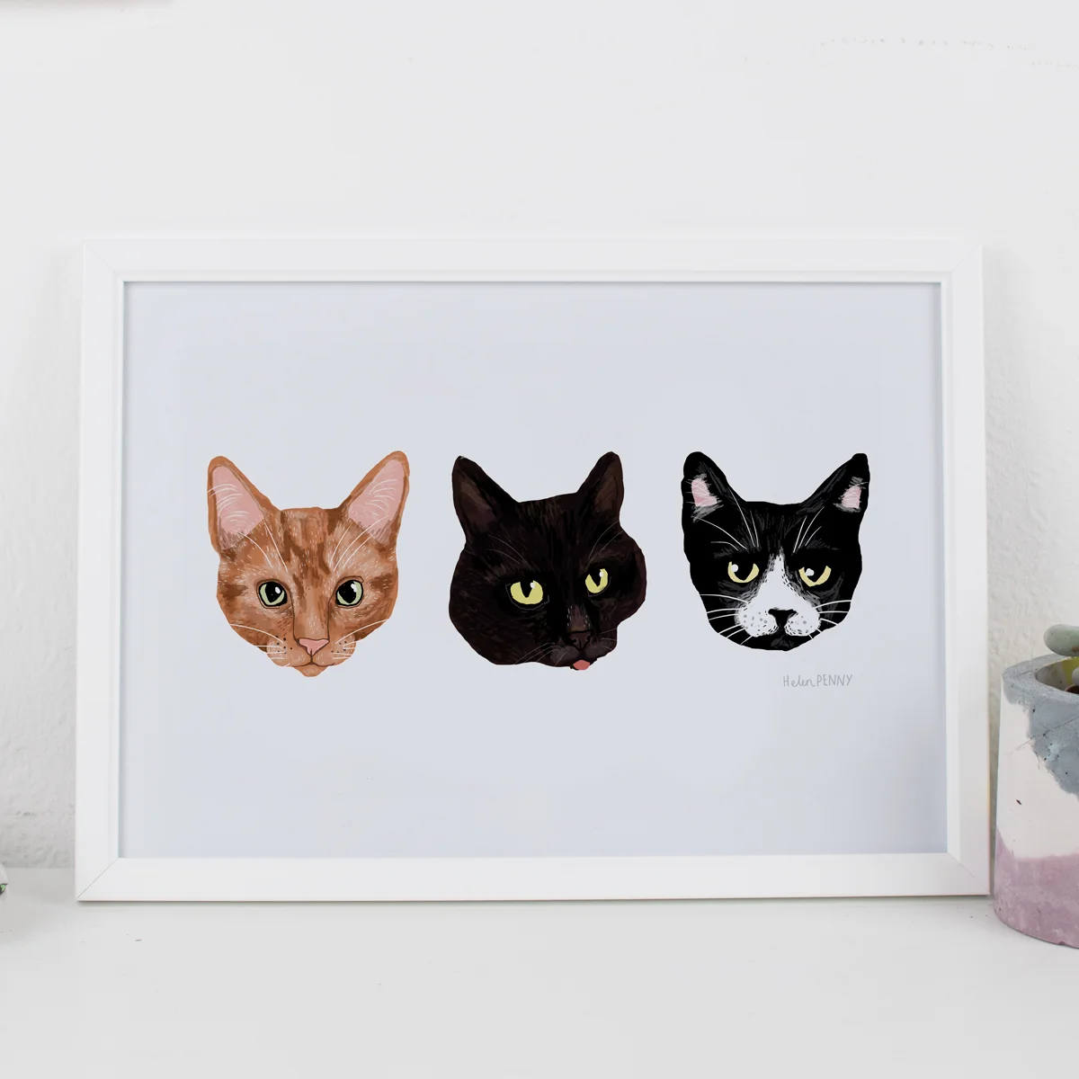 3-cats.jpg