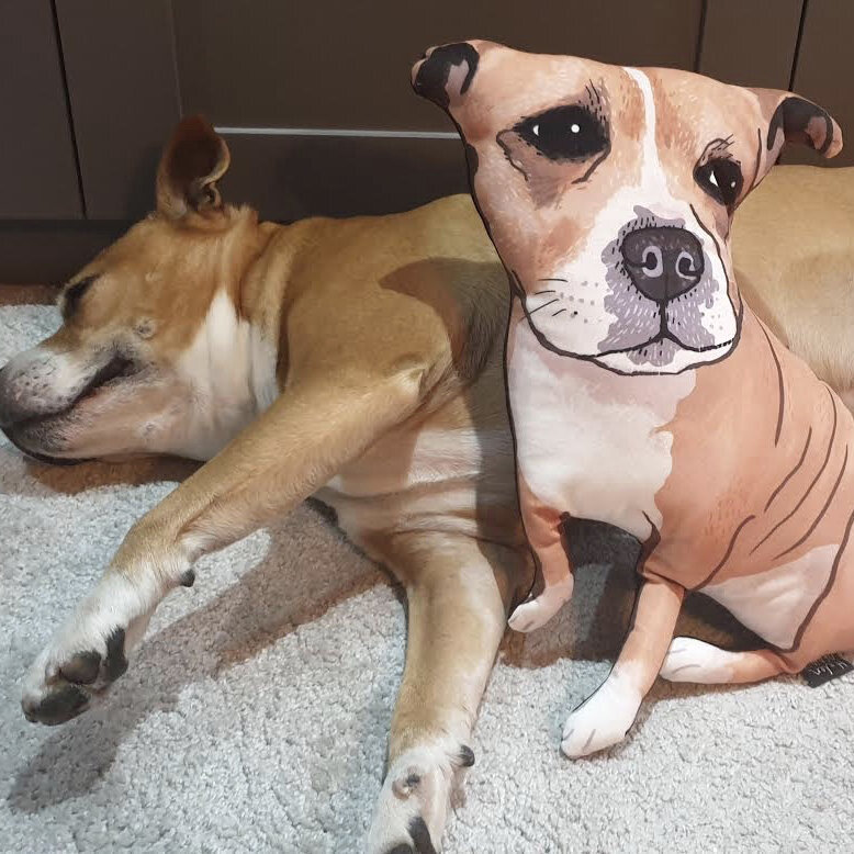 Staffy Custom Pillow