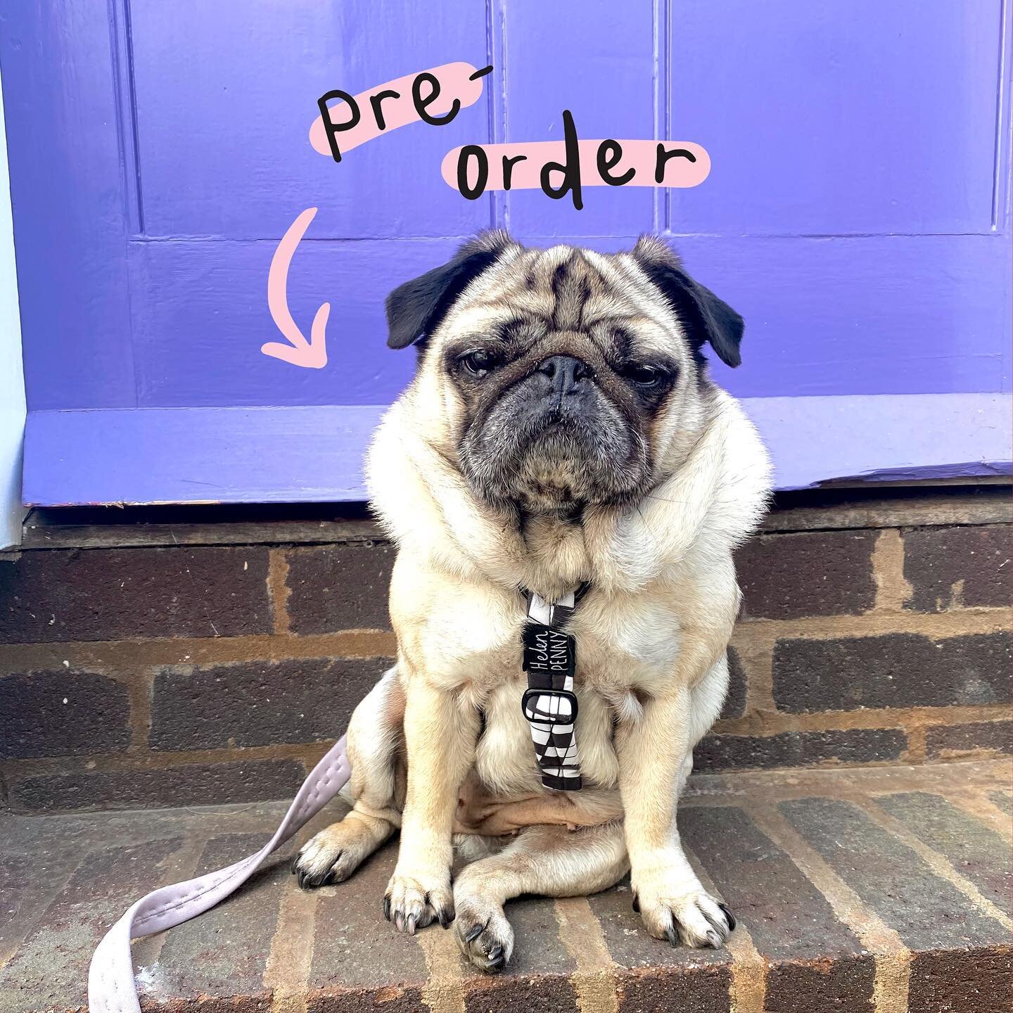 😱 IT&rsquo;S TIME: Harness pre-orders are now open! ✨
AND&hellip; if you&rsquo;re quick, you might be one of the first 10 customers to get a very special pre-order price.

You won&rsquo;t find harnesses like these anywhere else &ndash; it&rsquo;s a 