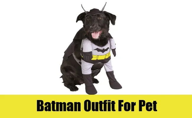 Batman-Outfit.jpg