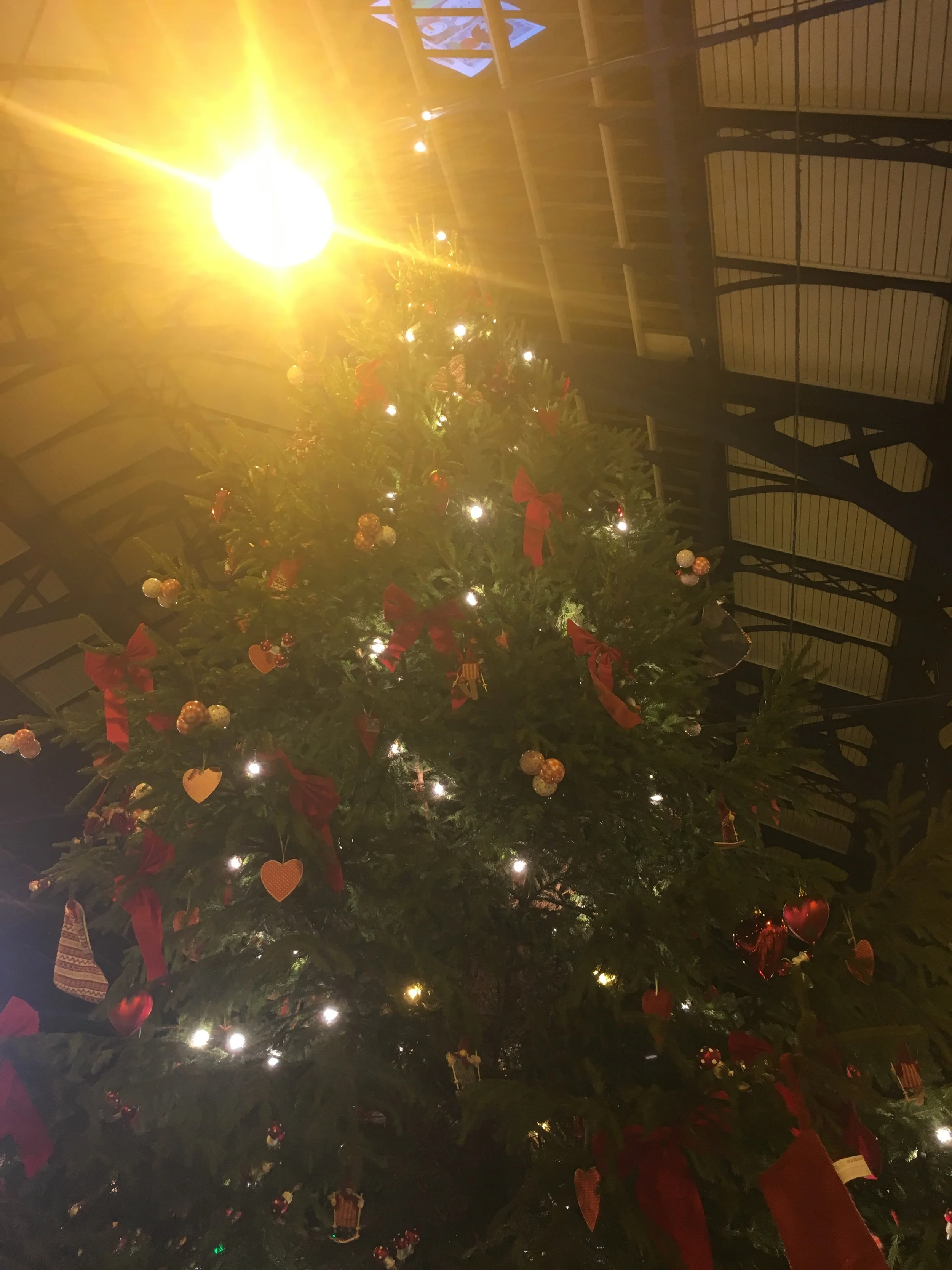 Brighton Station Christmas Tree