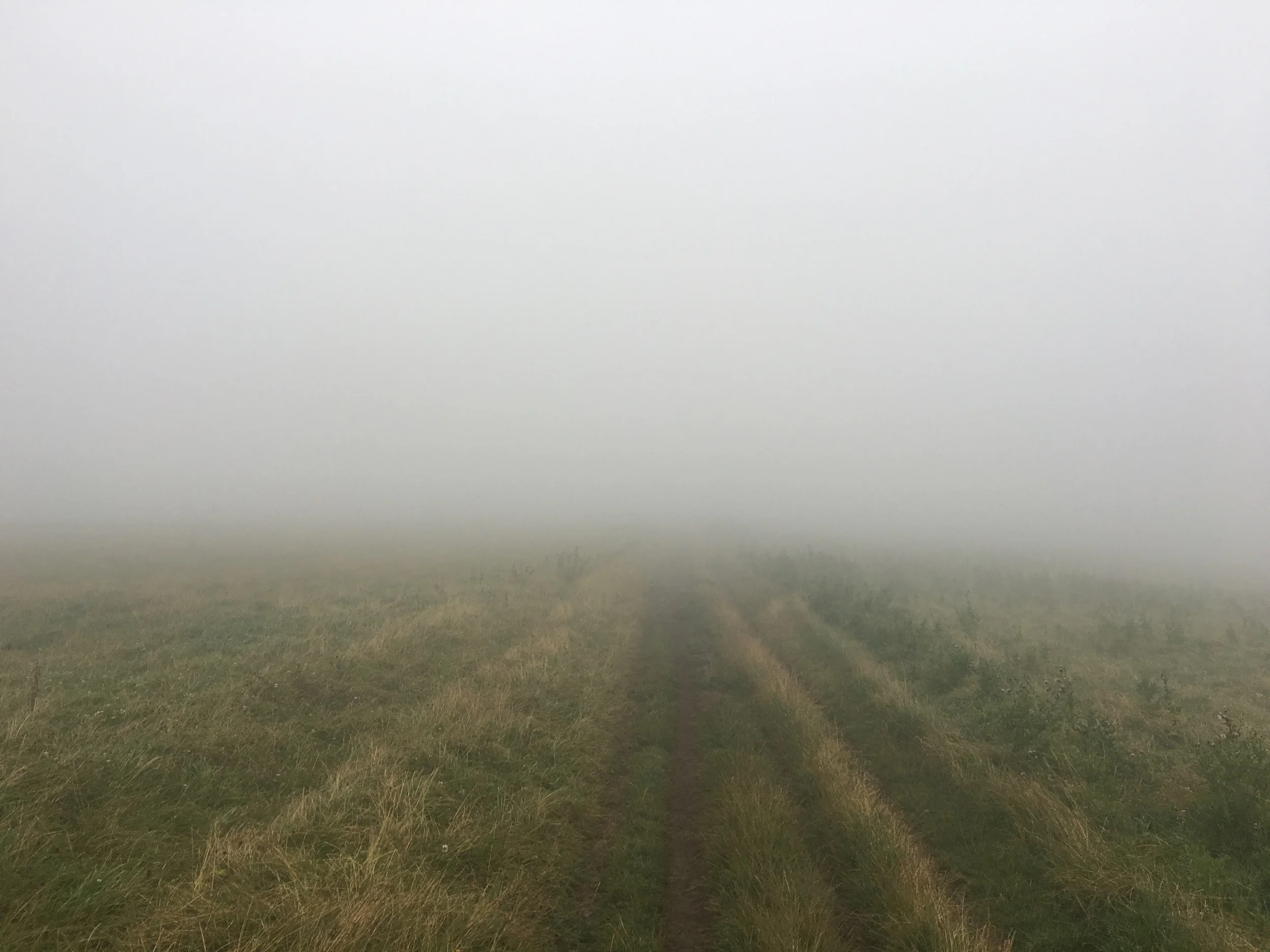 30 mile walk and very misty on the South Downs