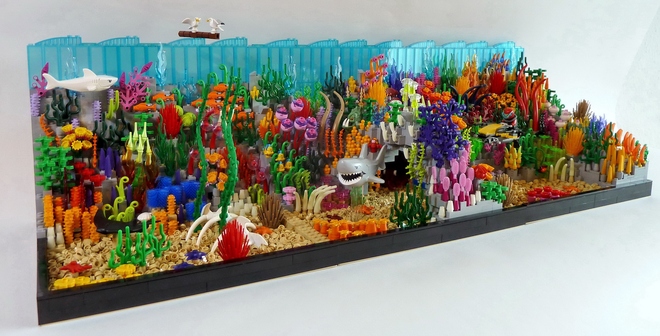 The Coral Reef and the Shark As of 1/3/17 2590 Supporters, 45 Days Left Read More