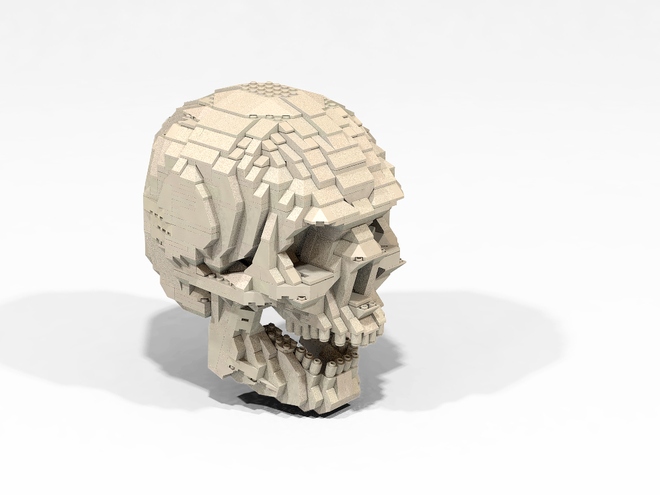 Life-sized Human Skull with Movable Jaw As of 1/3/17 2964 Supporters, 264 Days Left Read More