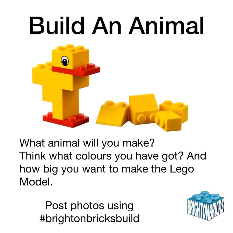 BrightonBricksBuild Lego Activity Build An Animal