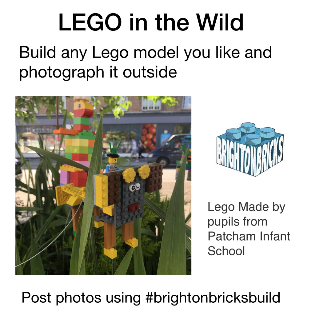 LEGO in the Wild.jpeg