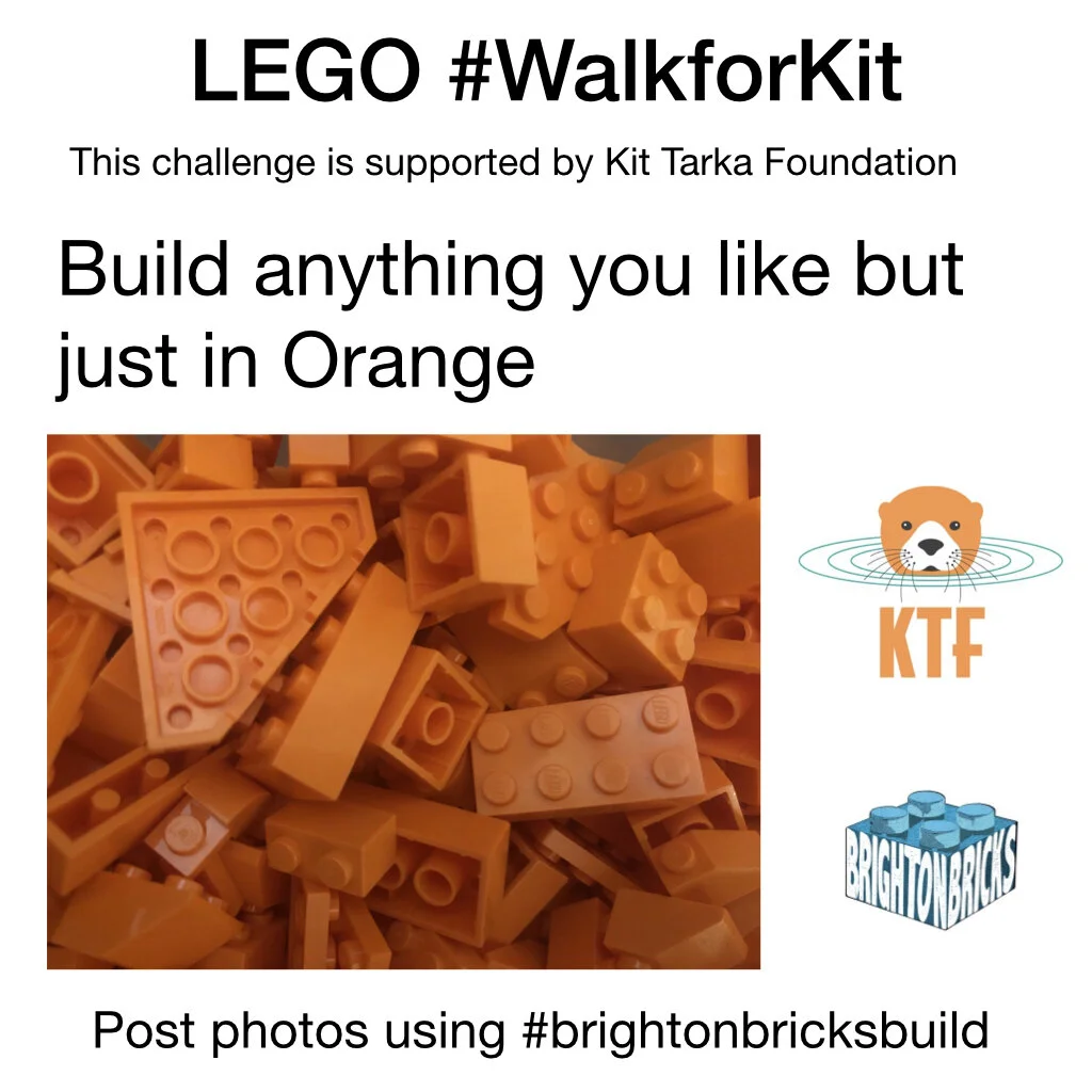 #BrightonBricksBuild Challenge Build in Orange for Kit Tarka Foundation