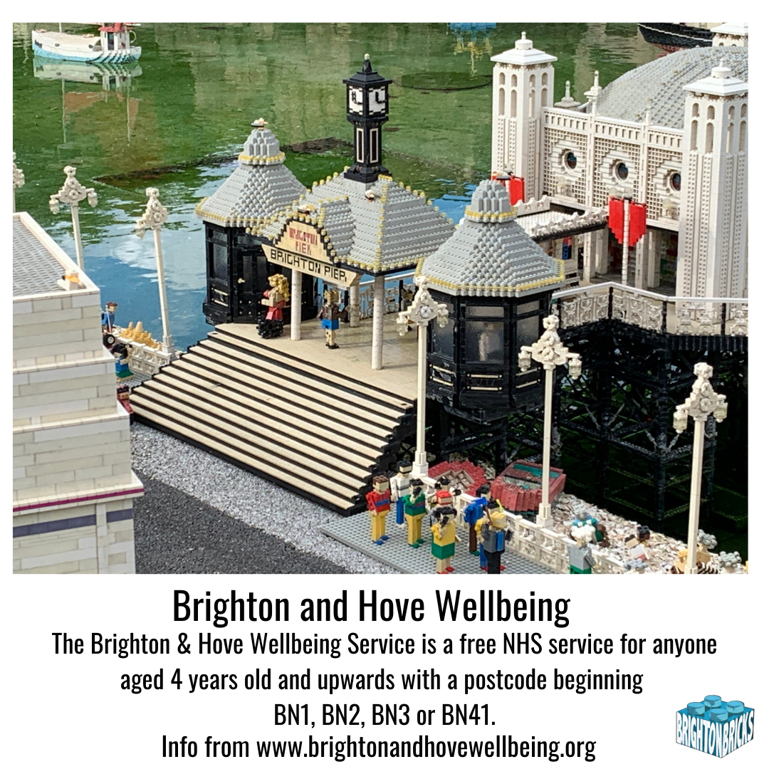Brighton & Hove Wellbeing Service.png