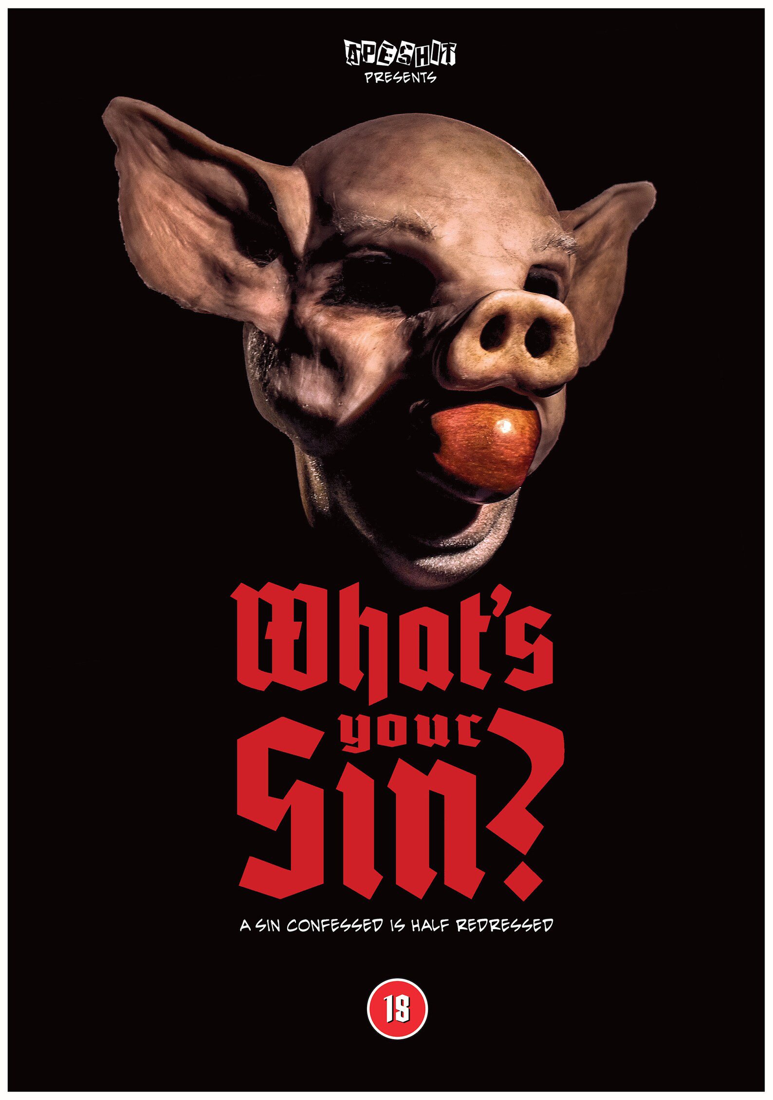 What's Your Sin? Cover Art.jpg