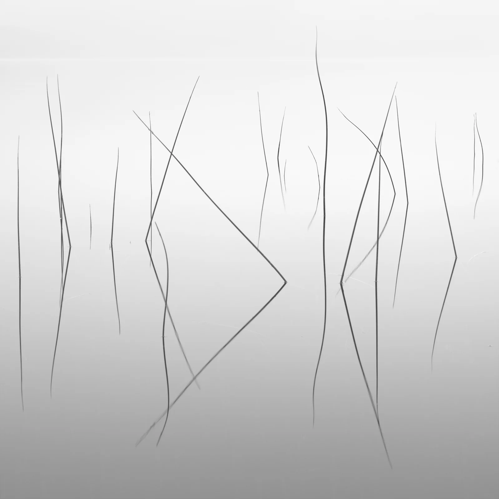 Sketches+web.jpg