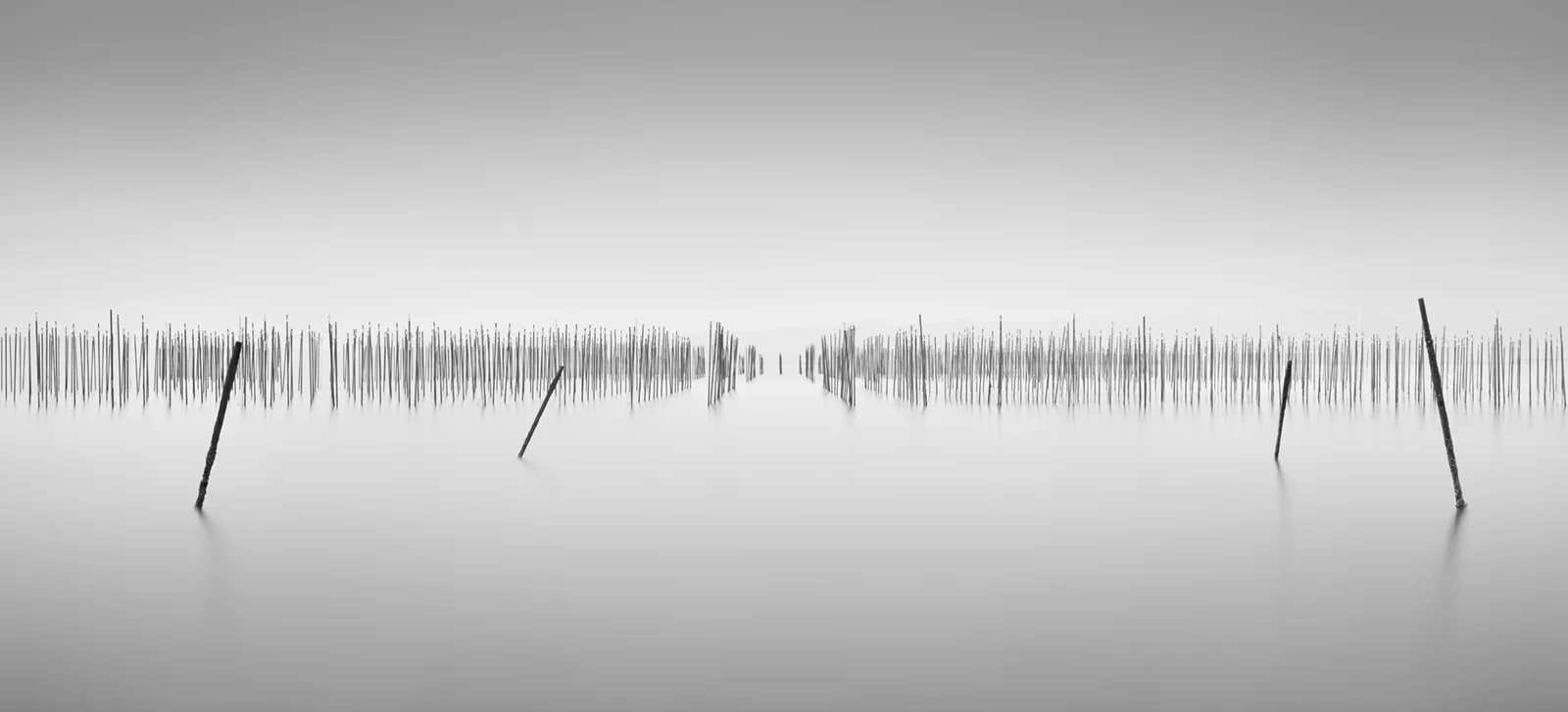 ORCHESTRA original.jpg