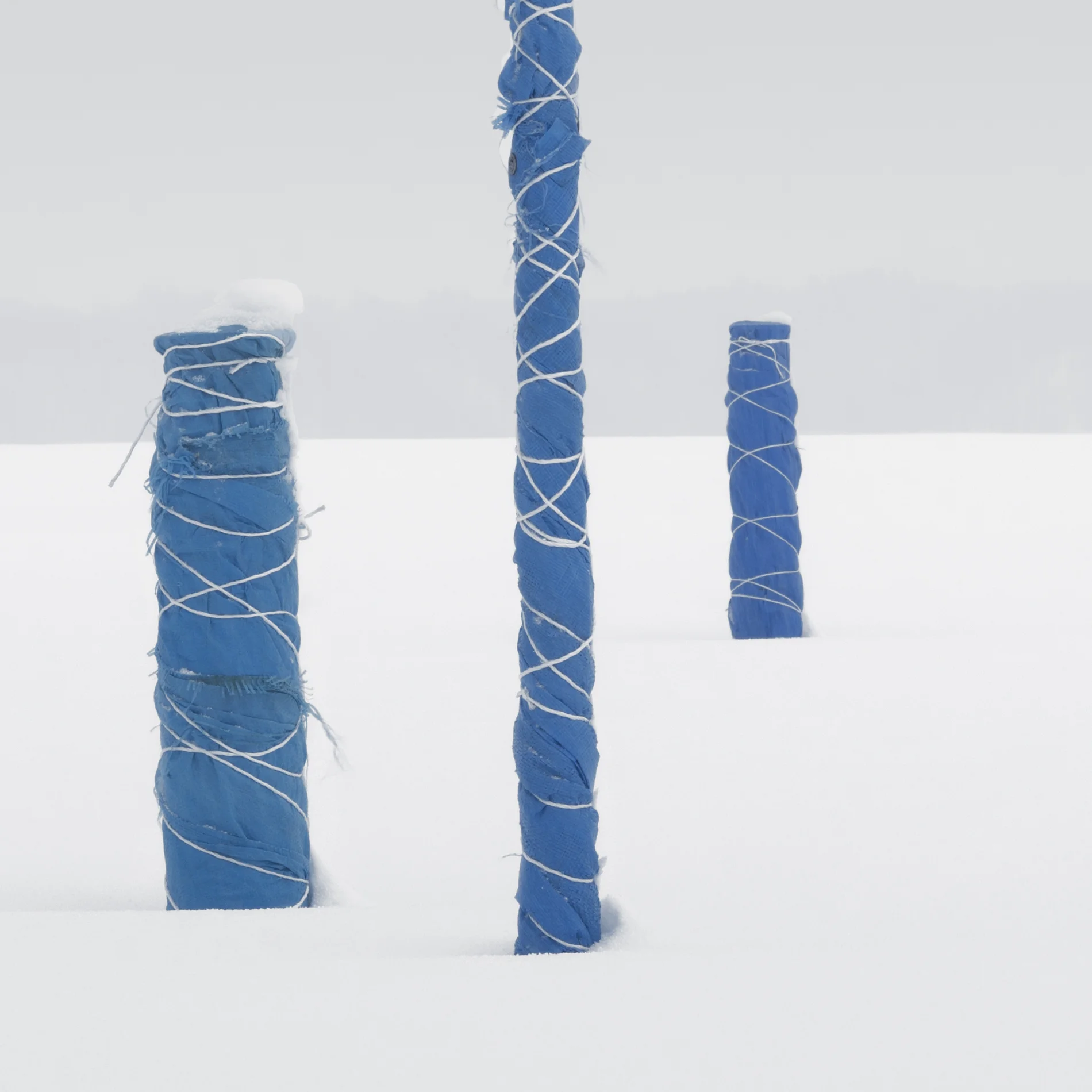 Blue Notes Detail.jpg