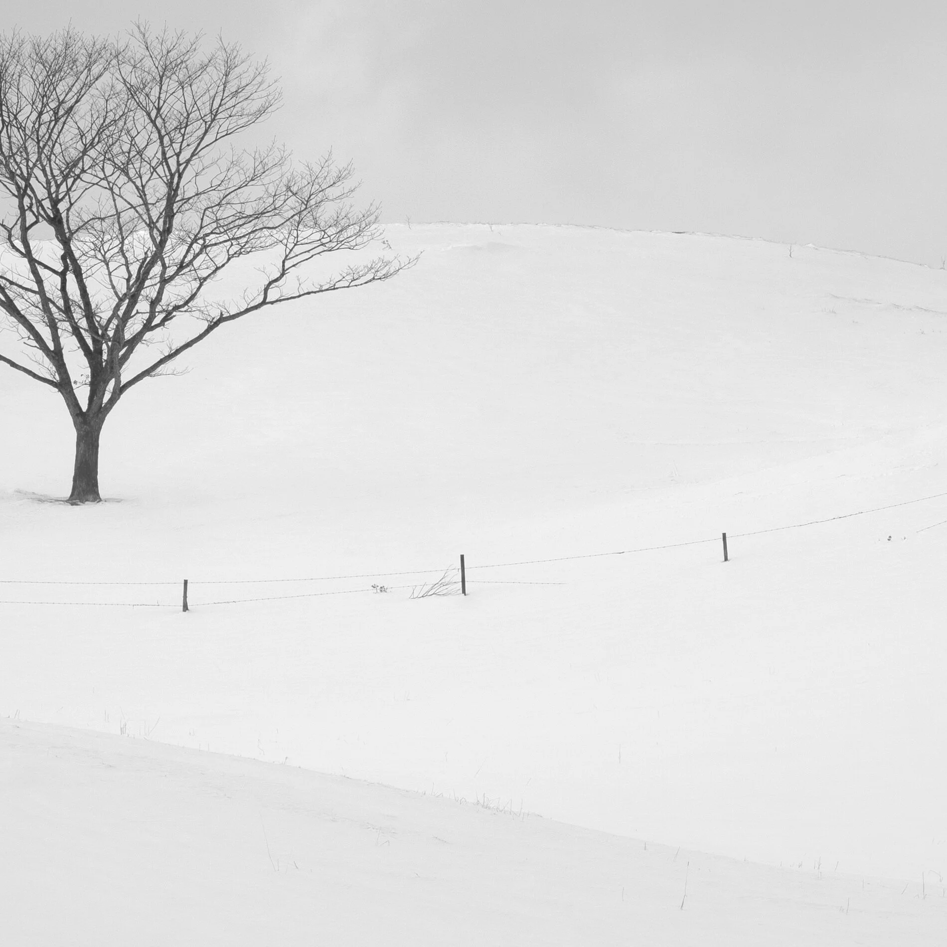 Isolation Detail 2.jpg