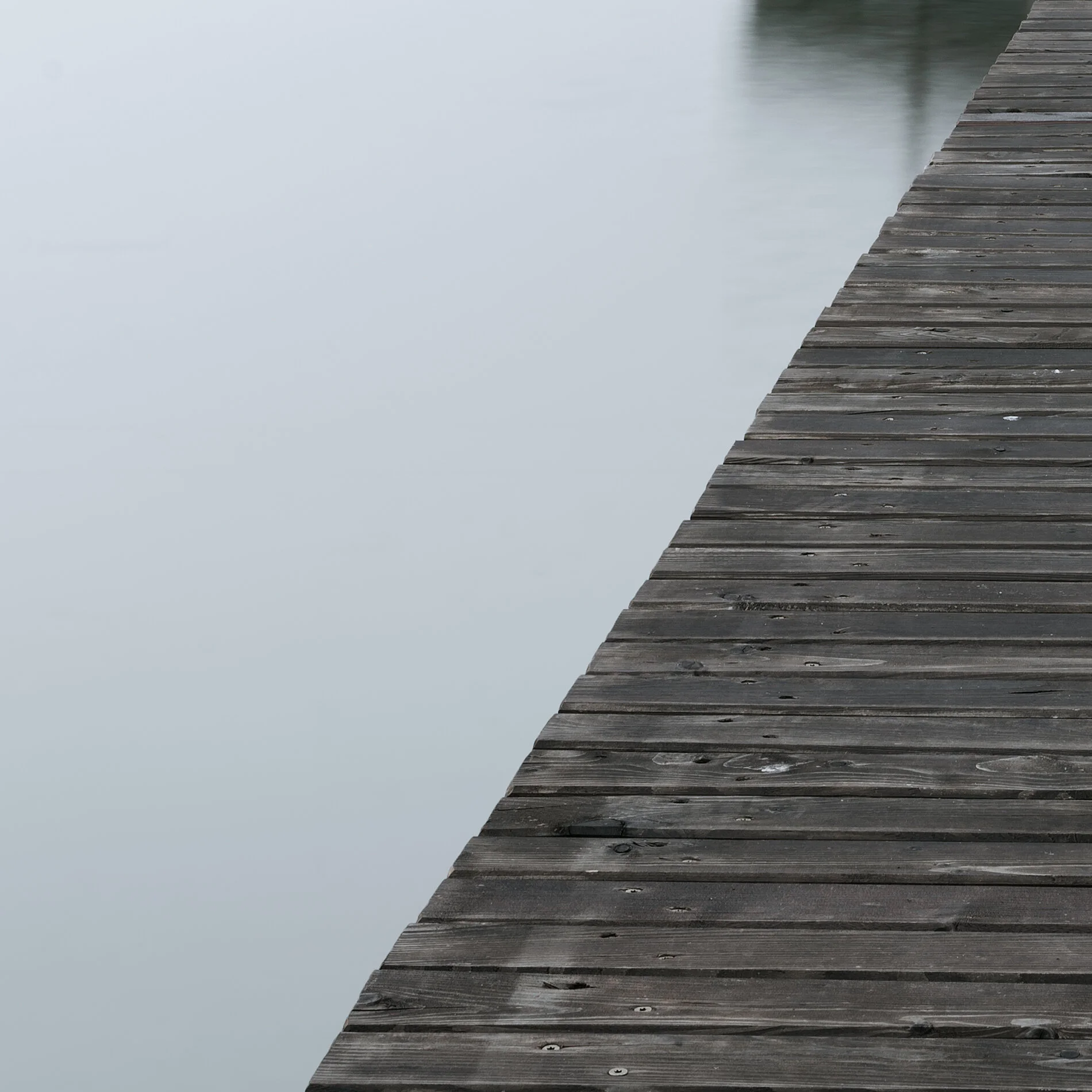 Modus Operandi Detail 3.jpg