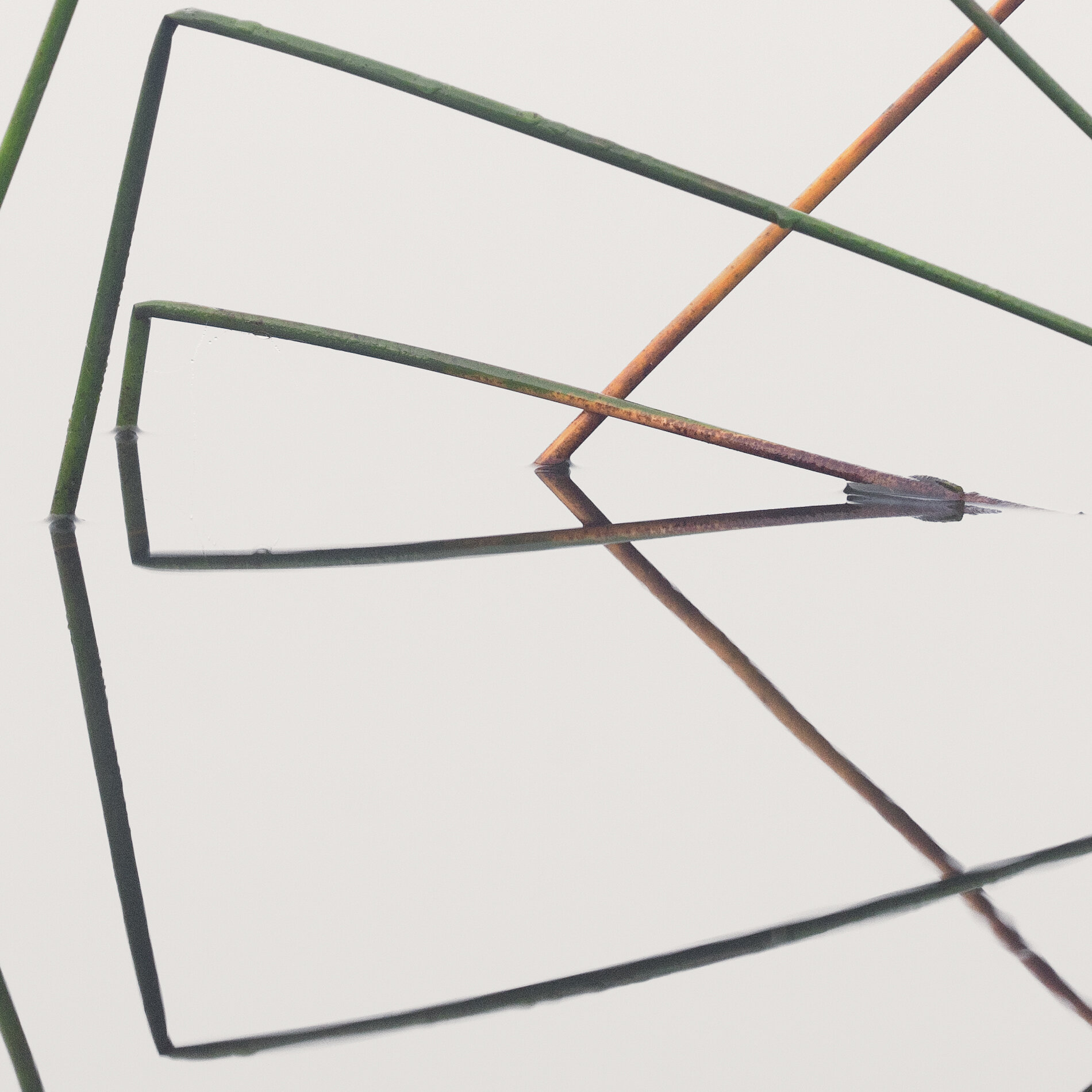 Elysium WEB DETAIL.jpg