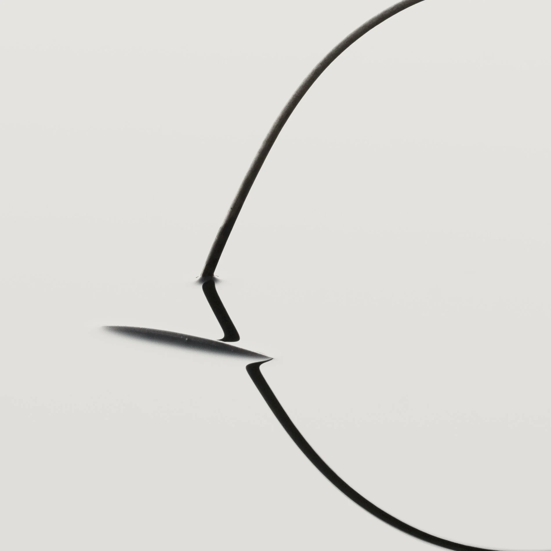 Binary web detail.jpg