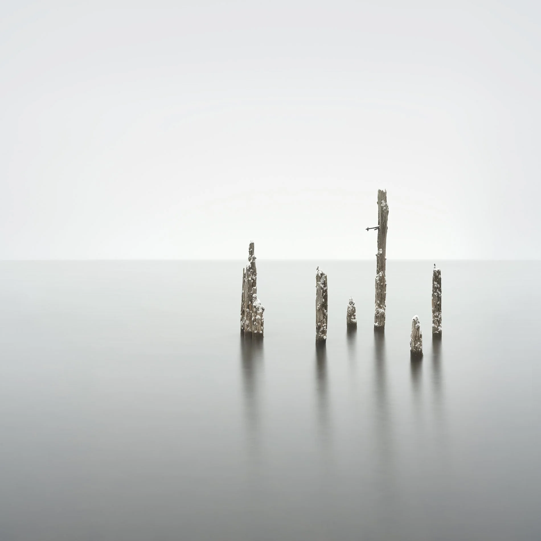 Cold Sweat 2 copy.jpg