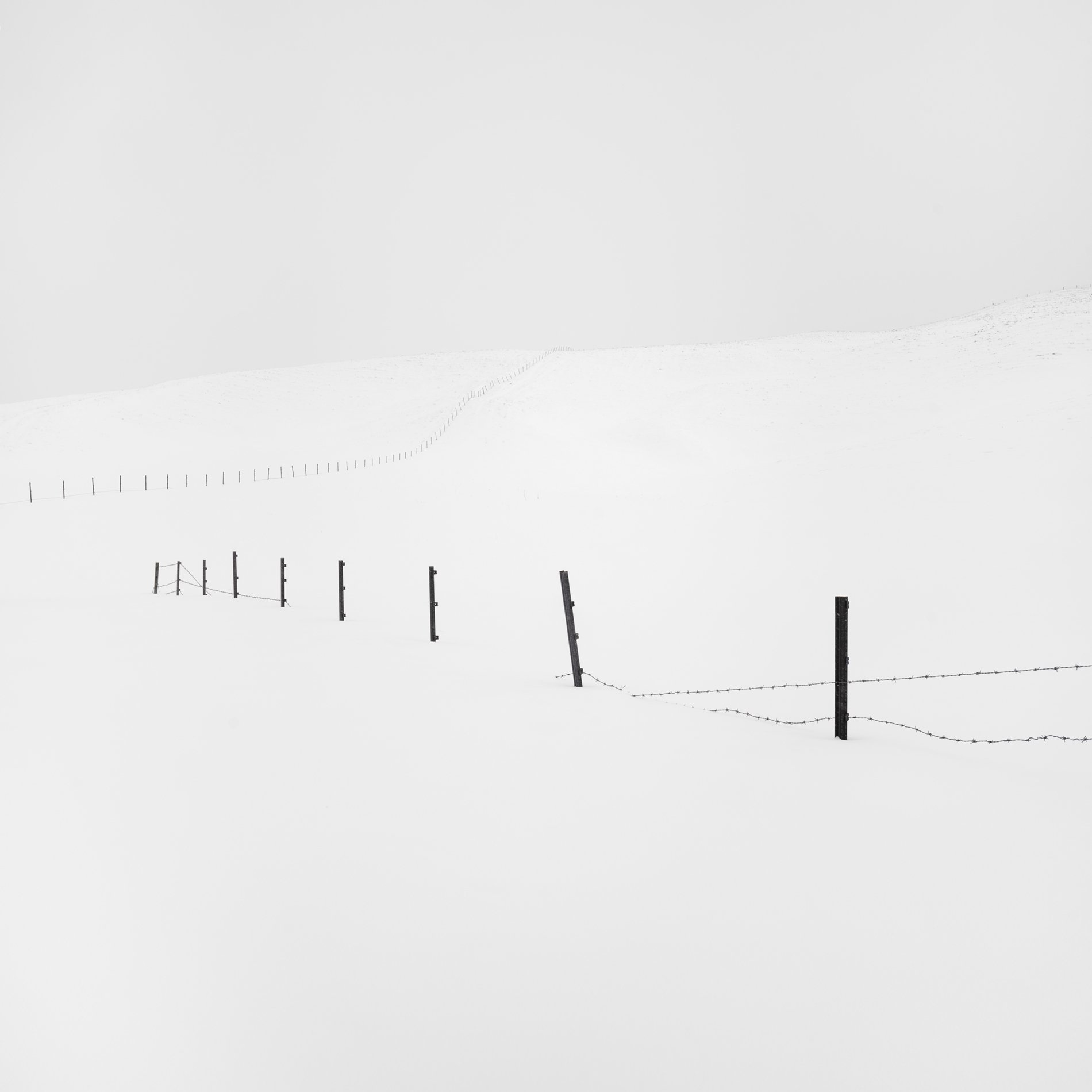 Teshi Fences 26 3.jpg