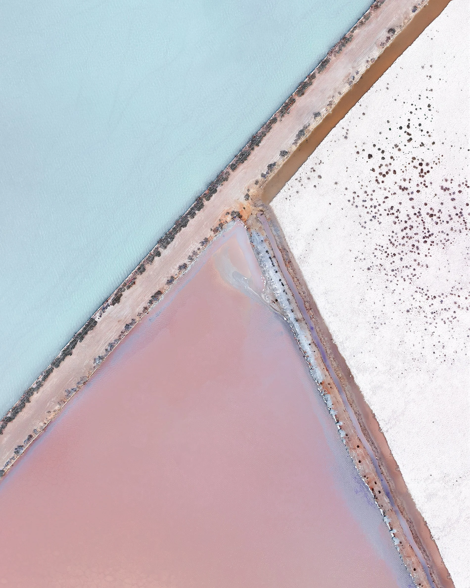 Salt Master 60 x 48 copy.jpg