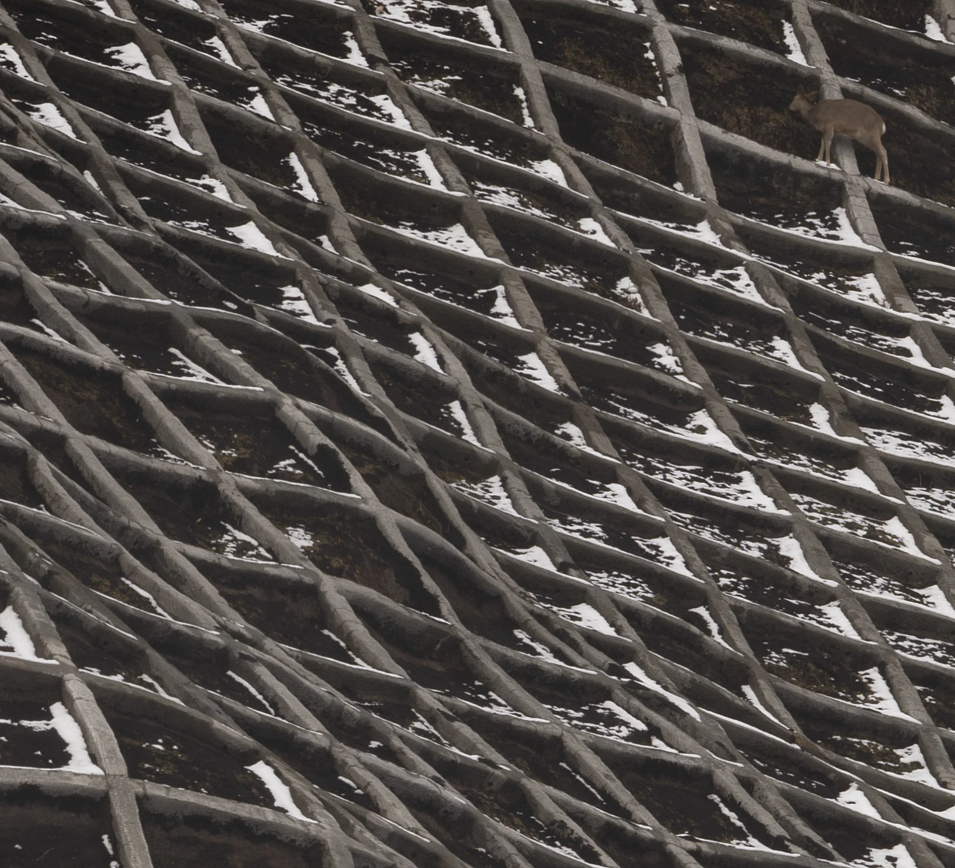 Rolled Concrete detail.jpg