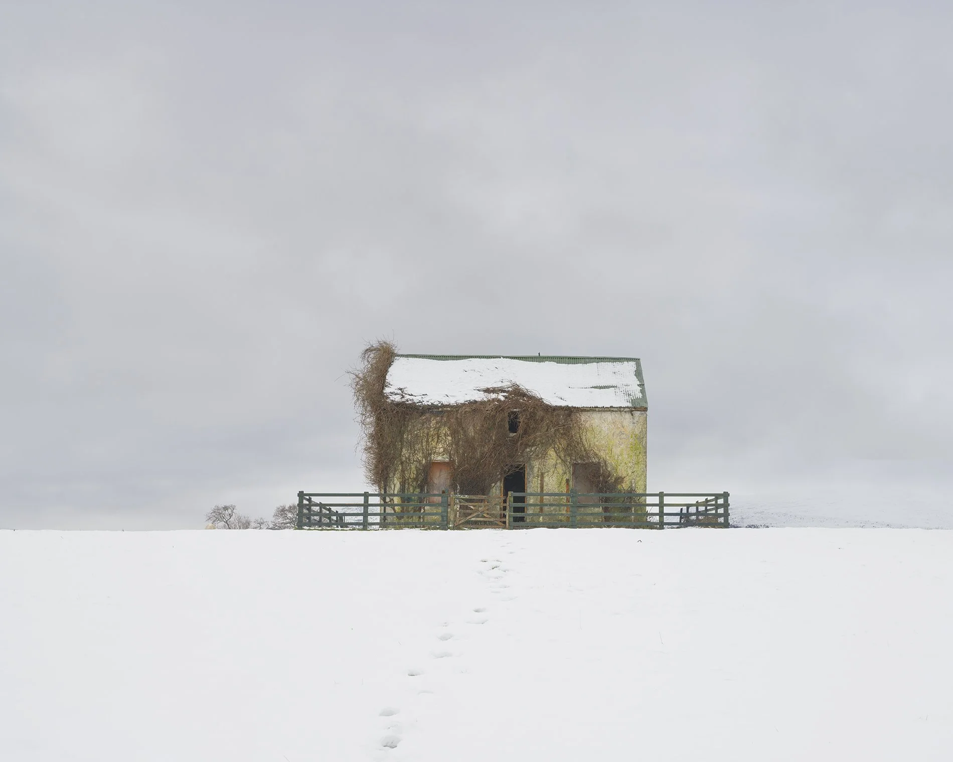 Teach Feirme web.jpg