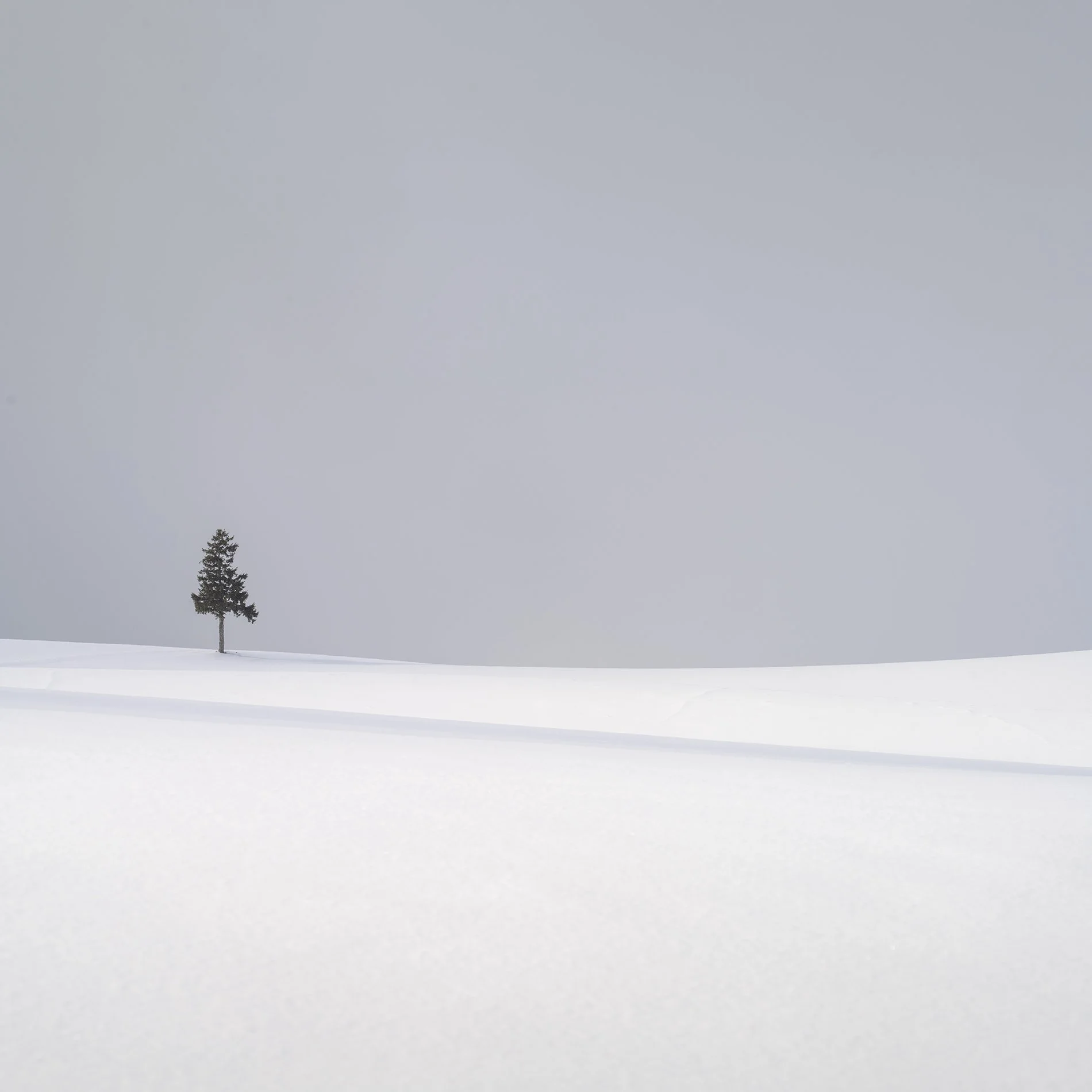 Shiroi Sen 2 copy.jpg