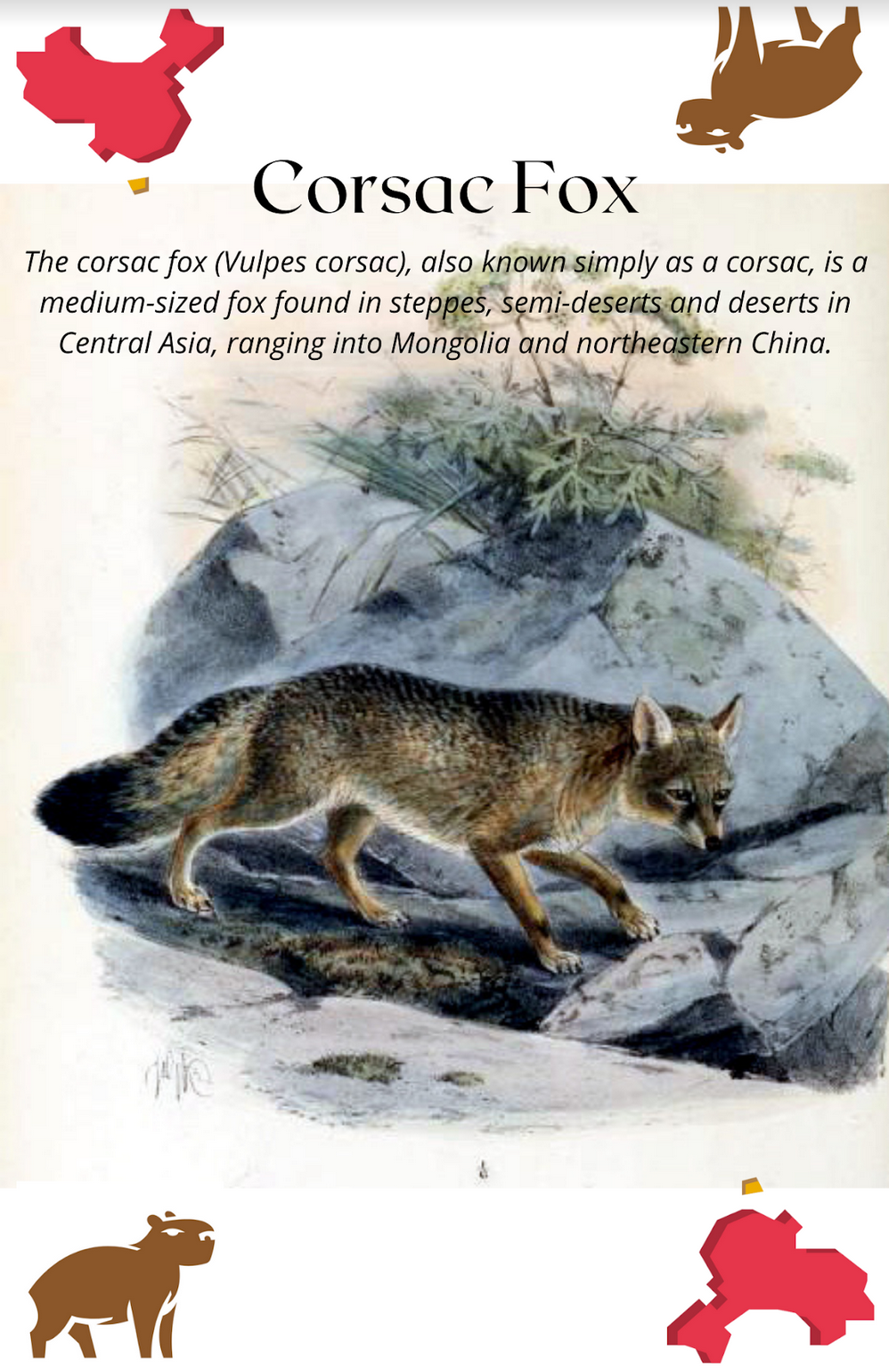 Field Notes card mockup