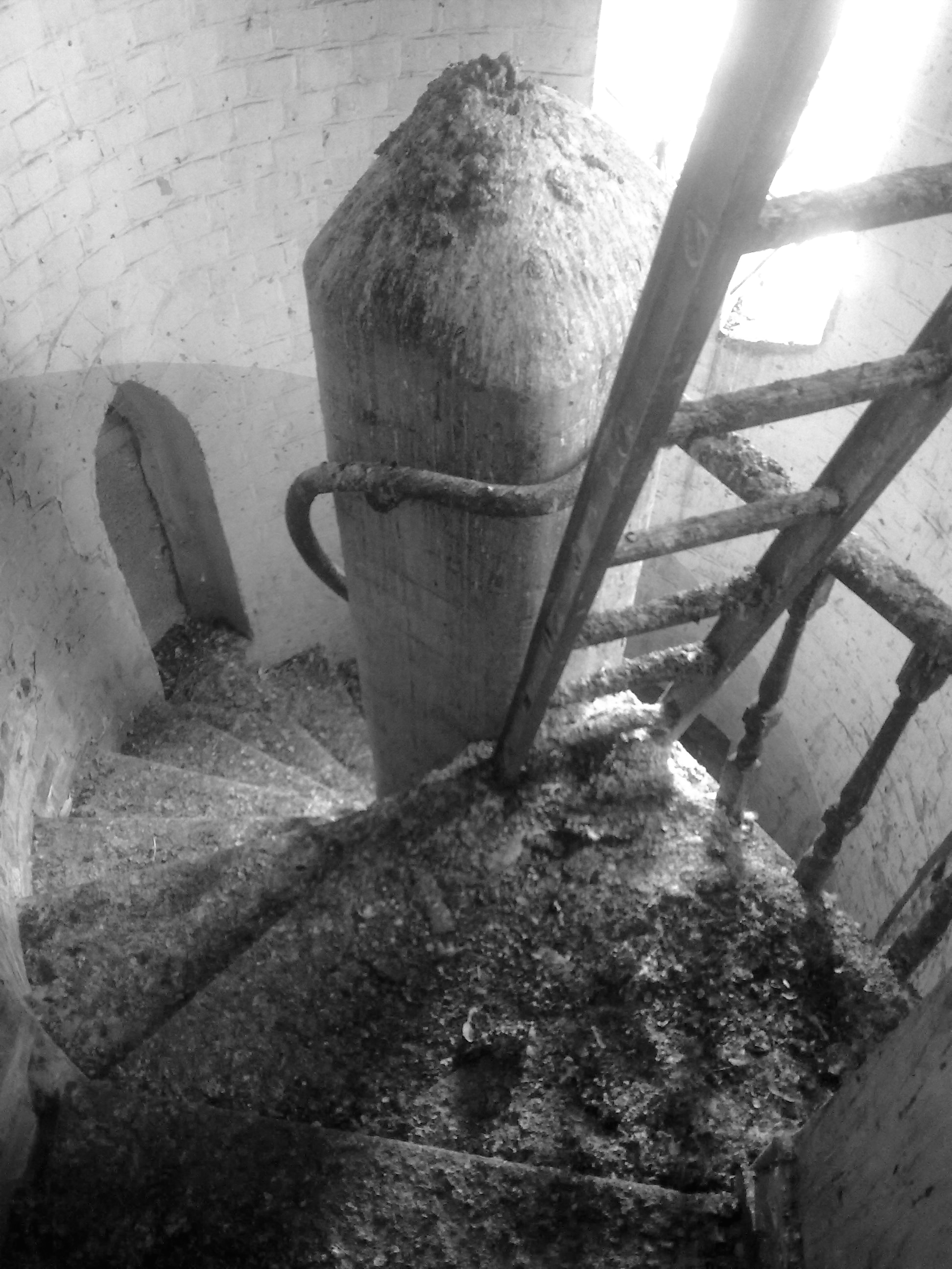 B+W 6.jpg