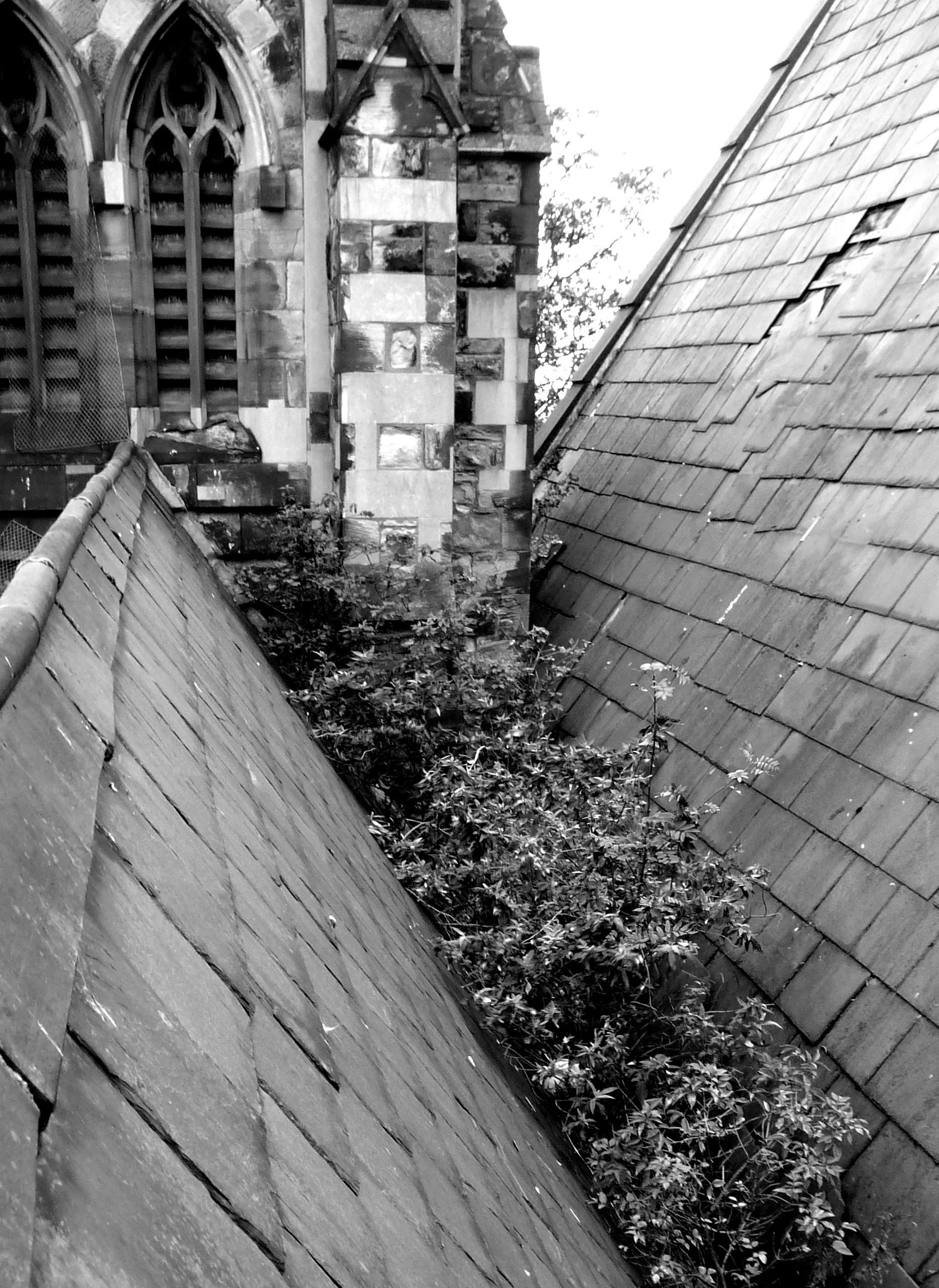 B+W 1.jpg