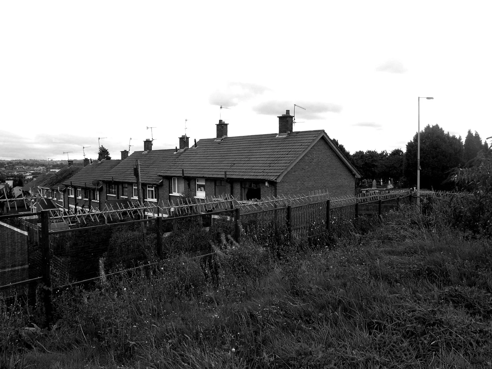 BW DSCN1326.jpg