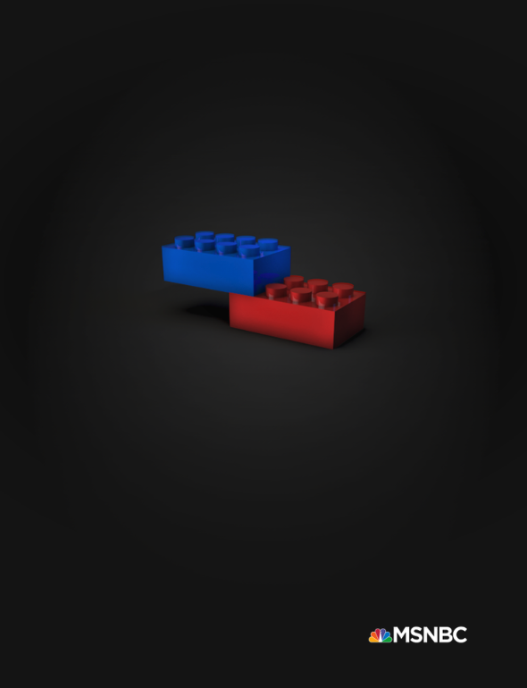 Print Ad that ran day after election in NYTimes