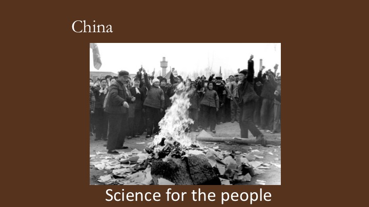 Slide16.jpeg
