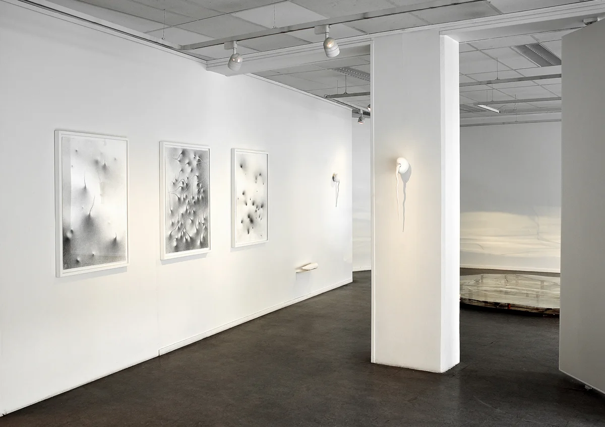 Fra utstillingen "Stille liv" / From the exhibition "Silent Life" 2003 Buskerud Kunstnersenter / Buskerud Art Centre, Drammen (photo: Atle Johnsen)