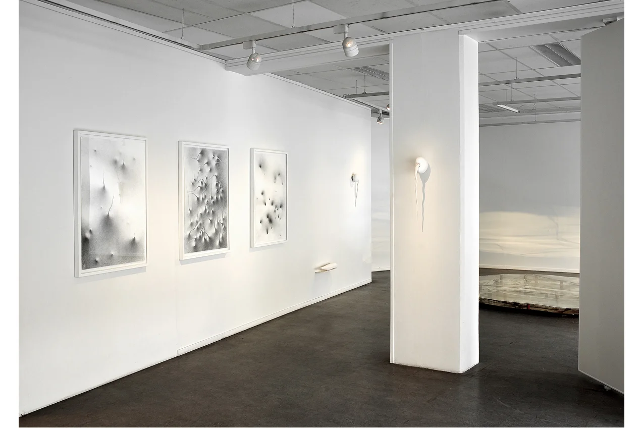Fra utstillingen "Stille liv" / From the exhibition "Silent Life" 2003 Buskerud Kunstnersenter / Buskerud Art Centre, Drammen (photo: Atle Johnsen)