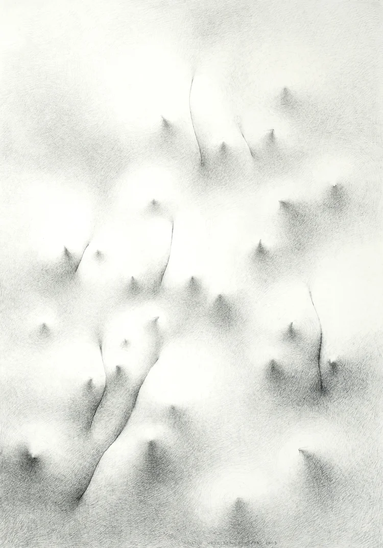 Tegning VI/ Drawing VI , 2003 Størrelse / Size: 110 x 80 cm (photo: Atle Johnsen)