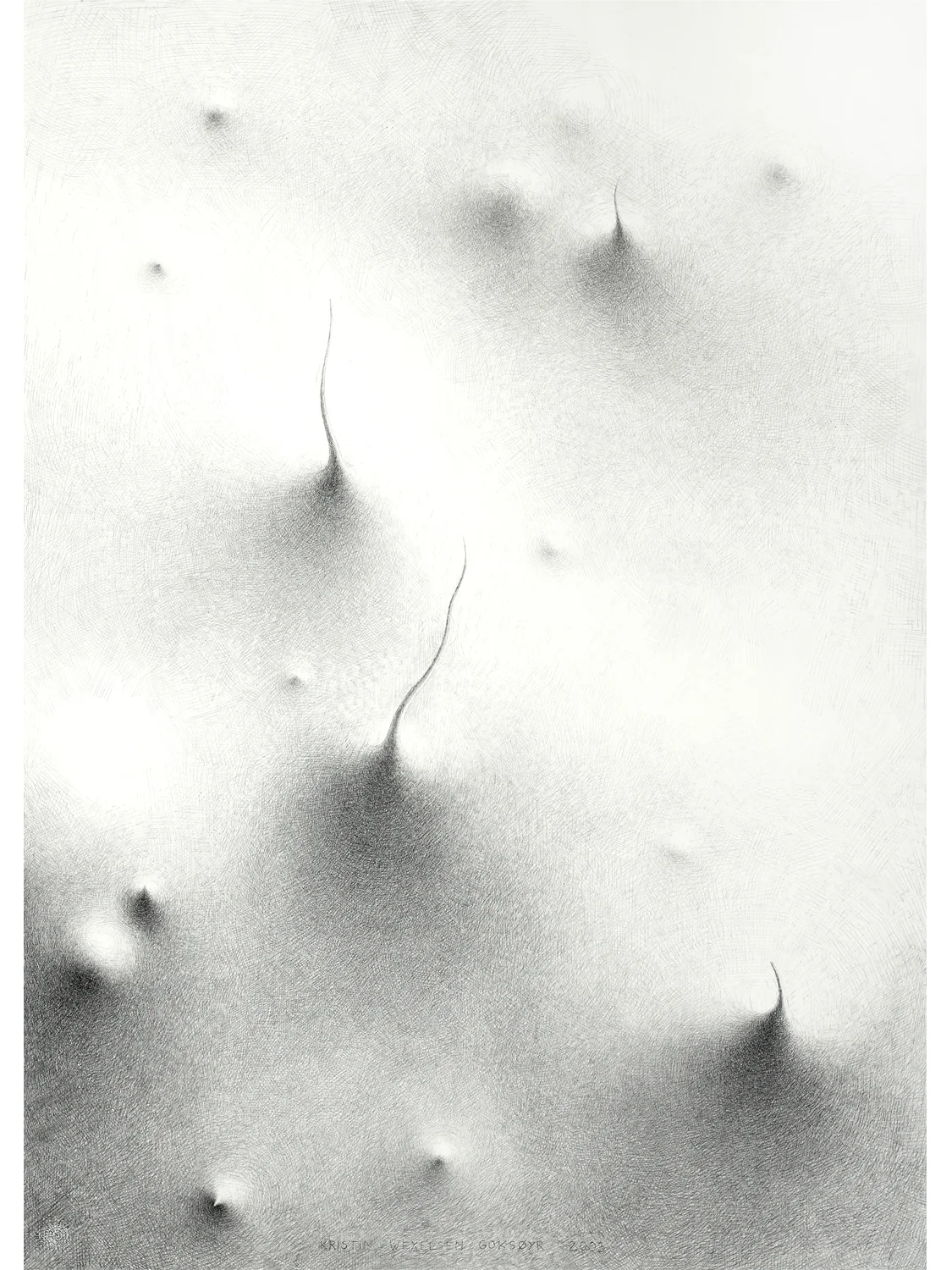 Tegning II / Drawing II , 2003 Størrelse / Size: 115 x 82 cm (photo: Atle Johnsen)