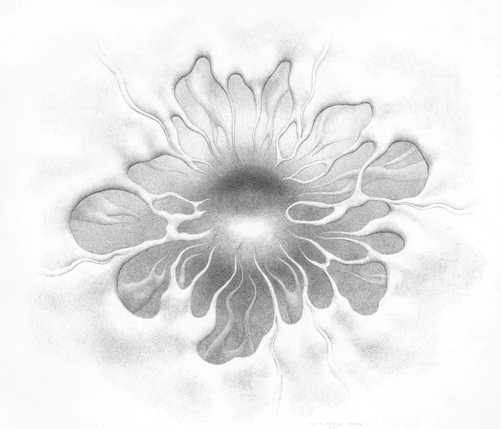 Rom / Space, blyant på papir, størrelse h: 102 cm x b: 116 cm / pencil on paper, size h: 102 cm xb: 116 cm (photo: Atle Johnsen)