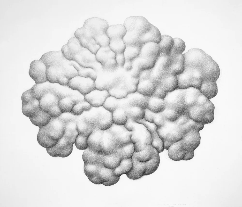 Kraft / Power, blyant på papir, størrelse h: 102 cm x b: 116 cm / pencil on paper, size h: 102 cm xb: 116 cm . Photo: Atle Johnsen