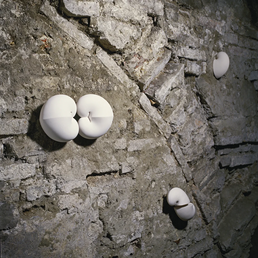Hjerteformede skulpturer / Heart-shaped Sculptures 2001 Størrelse (lengde/bredde) / Size (length/width): ca 10 - 15 cm (photo: Atle Johnsen)