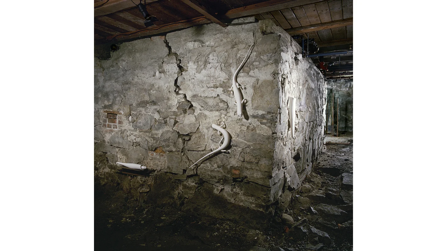 Porselensskulpturer / Porcelain sculptures 2001 Unge Kunstneres Samfunds galleri, kjellerrommet / UKS Gallery, Young Artists' Society, the basement room (photo: Atle Johnsen)